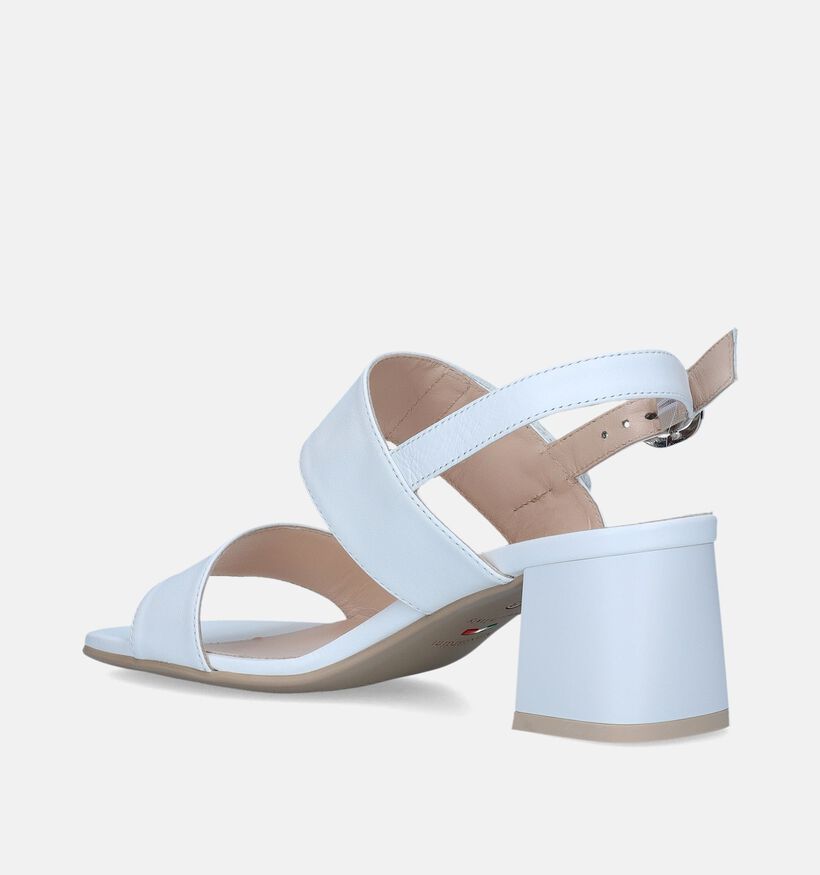 NeroGiardini Witte Sandalen met blokhak voor dames (339533)