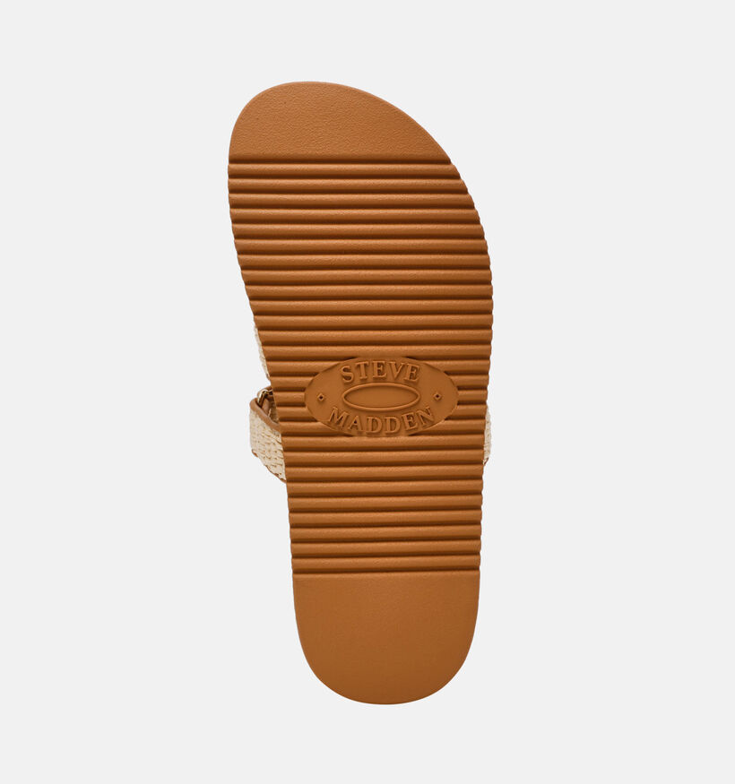 Steve Madden Missile Bruine Slippers voor dames (372088)