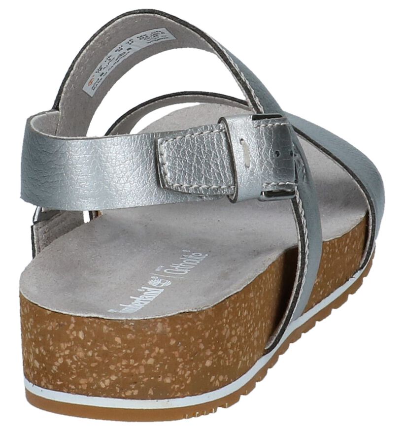 Timberland Malibu Waves Zilveren Sandalen in leer (212318)