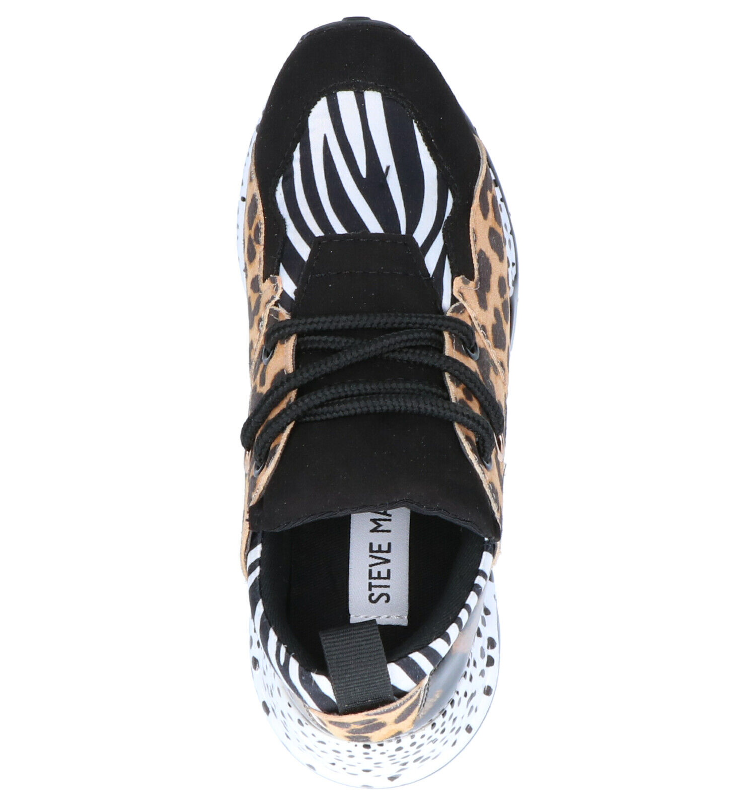 Jcliff steve madden store
