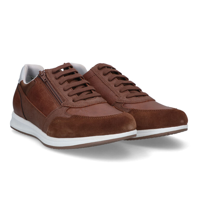 Geox Optek Avery Chaussures à lacets en Marron pour hommes (320090)