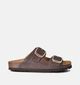 Scholl Noelle Nu-pieds plates en Marron pour femmes (357573)