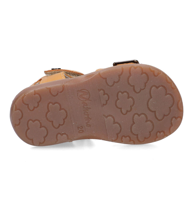 Naturino Quarzo Sandales pour bébé en Orange pour garçons, filles (339268)
