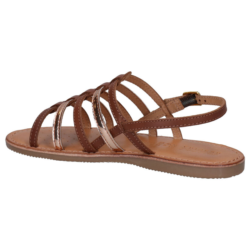 Geox Sandales en Cognac en cuir (267455)