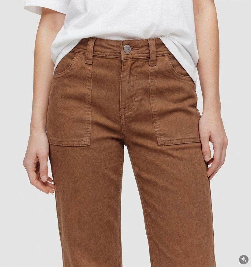 Desires Florence Donkerbruine Geklede Broek voor dames (379182)