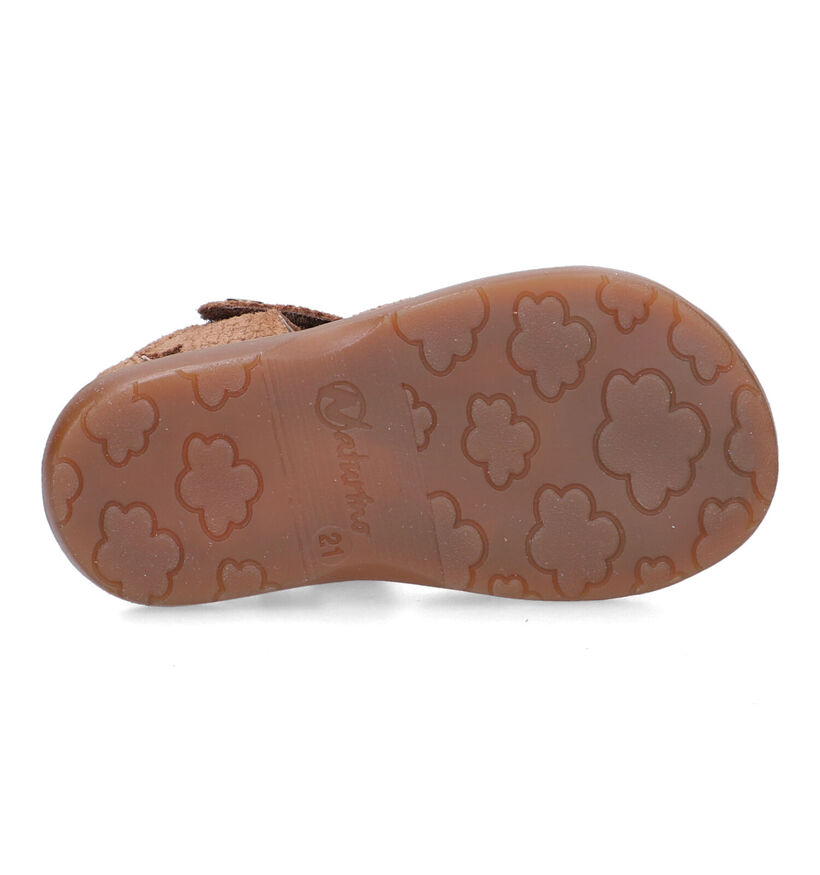 Naturino Zaffiro Camel Babysandalen voor meisjes, jongens (339270)