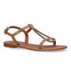 Scapa camel Sandalen voor dames (323770)