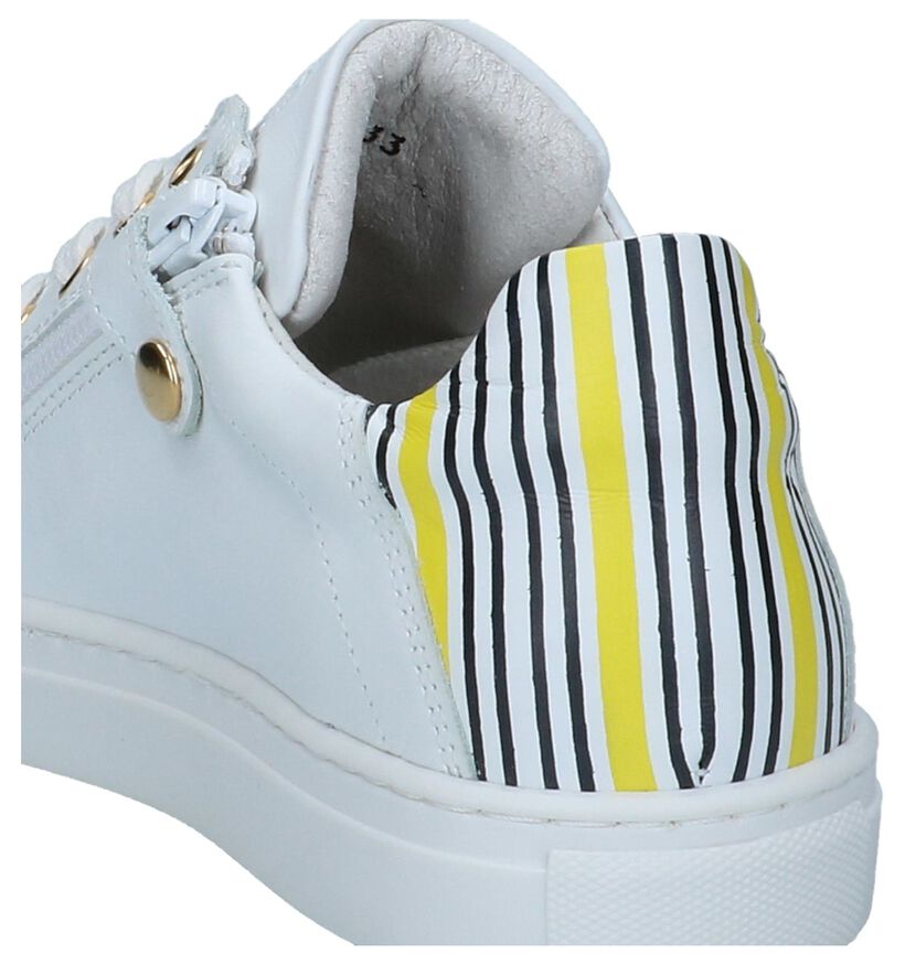Witte Veterschoenen Hampton Bays in leer (245749)