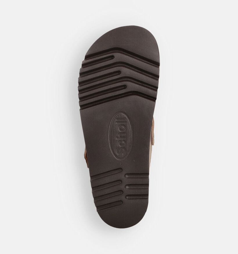 Scholl Benny Beige Gesloten Slippers voor dames (364553)