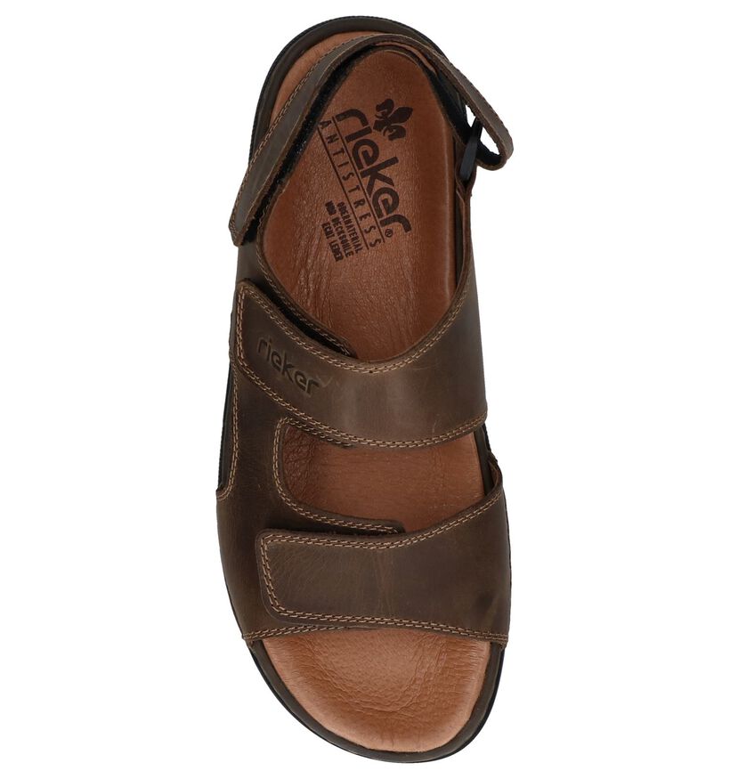 Rieker Sandales en Brun foncé pour hommes (323593)