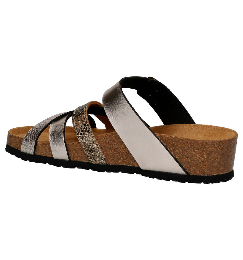 Bio Dream Gouden Slippers in kunstleer (266160)