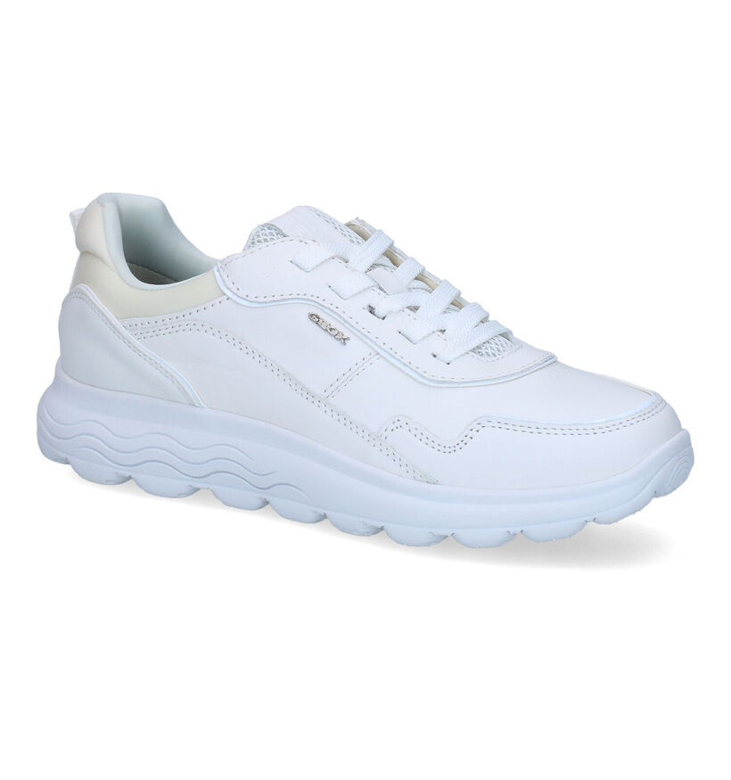 Geox Spherica Witte Sneakers in velours (303533)