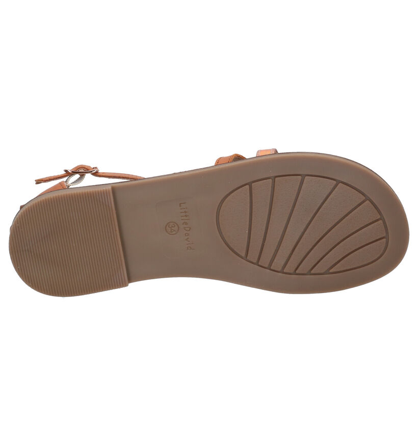 Little David Toledo Cognac Sandalen in leer (273137)