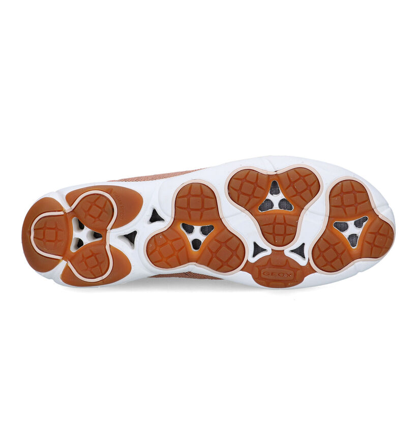 Geox Nebula Baskets en Orange pour femmes (326693) - pour semelles orthopédiques