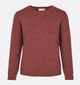 Fransa Maria Bordeaux Trui voor dames (377912)