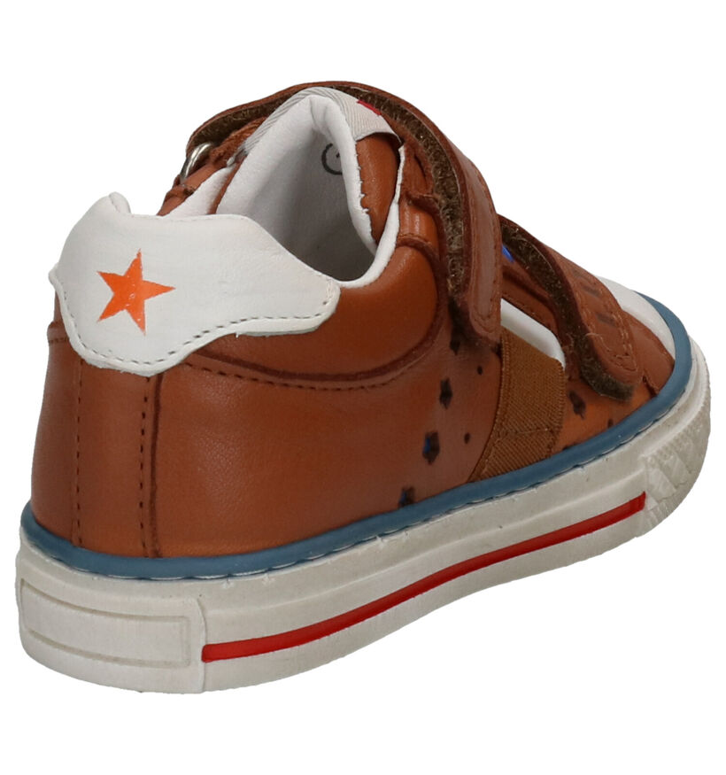 Little David Patton Cognac Velcroschoenen in leer (273224)