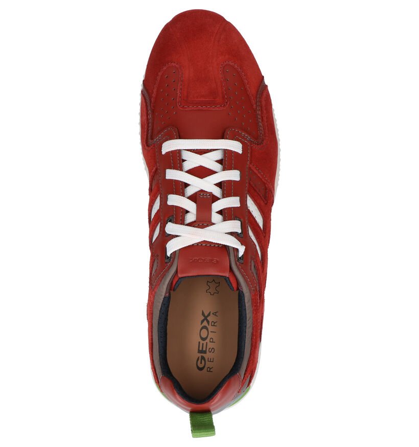 Geox Chaussures basses en Rouge foncé en cuir (270026)