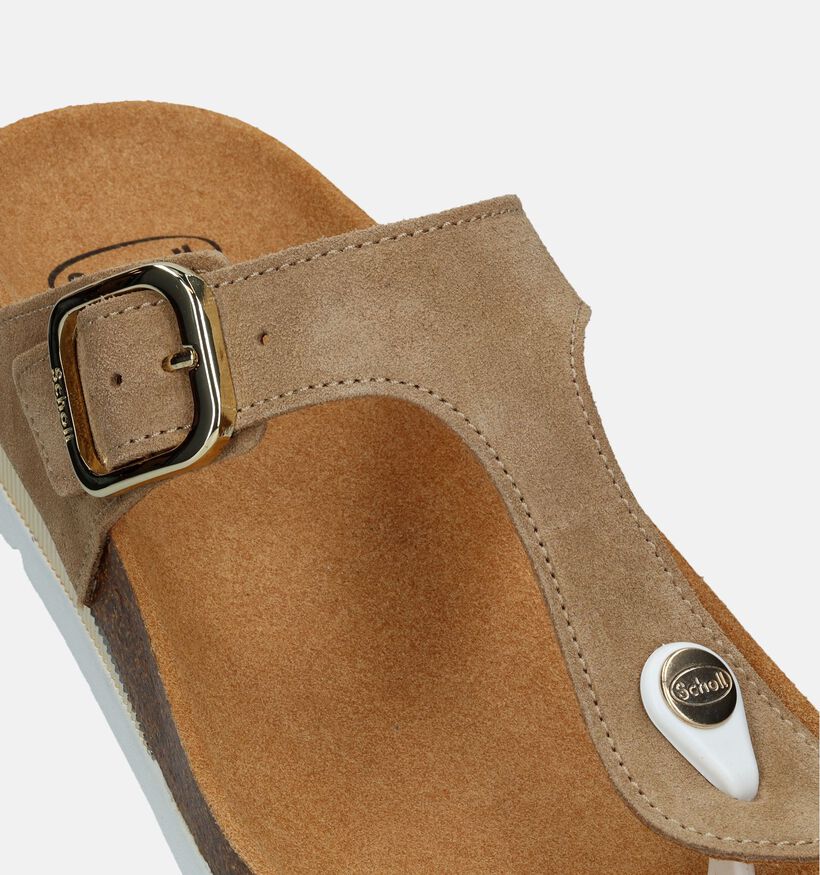 Scholl Ilary SS 1 Tongs en Brun en nubuck (336728)