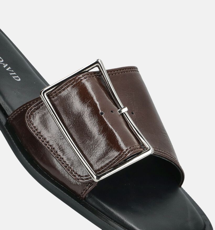Laurent David Bruine Slippers voor dames (378278)