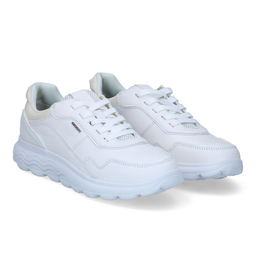 Geox Spherica Witte Sneakers voor dames (303533)