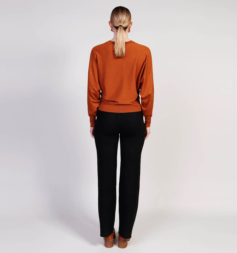 Minus Dana Bruine Trui voor dames (361727)