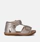 Naturino Quarzo Gouden Sandalen voor meisjes (356308)