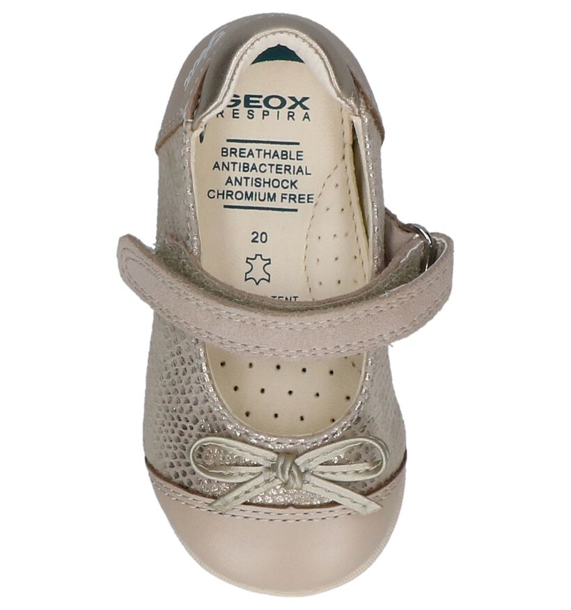 Geox Chaussures pour bébé  en Beige foncé en cuir (210521)
