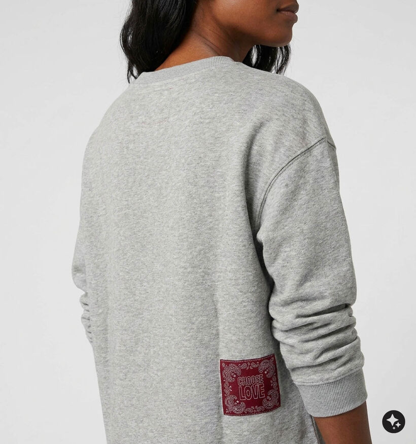 The Shirt Project Denim Rebels Grijze Sweater voor dames (381896)