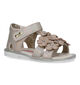 Asso Beige Sandalen voor meisjes (321799)