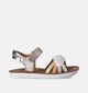 Shoo Pom Goa Multi Sandales en Or pour filles (356793)