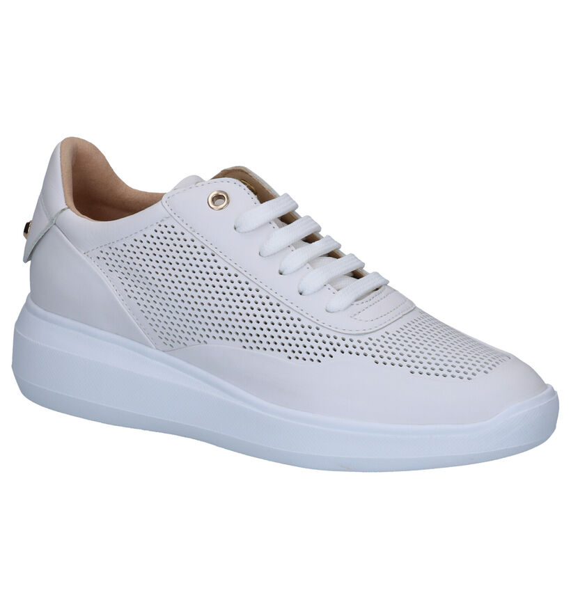 Geox Baskets habillées en Blanc en cuir (266825)