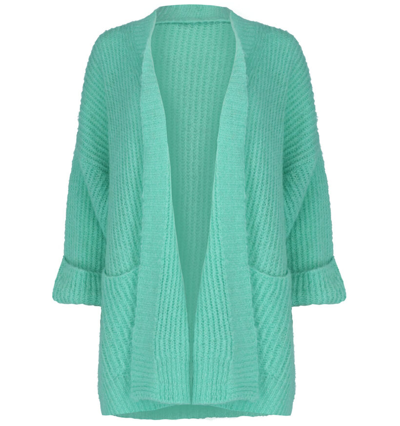 Carla Giannini Gilet en Vert menthe (279040)