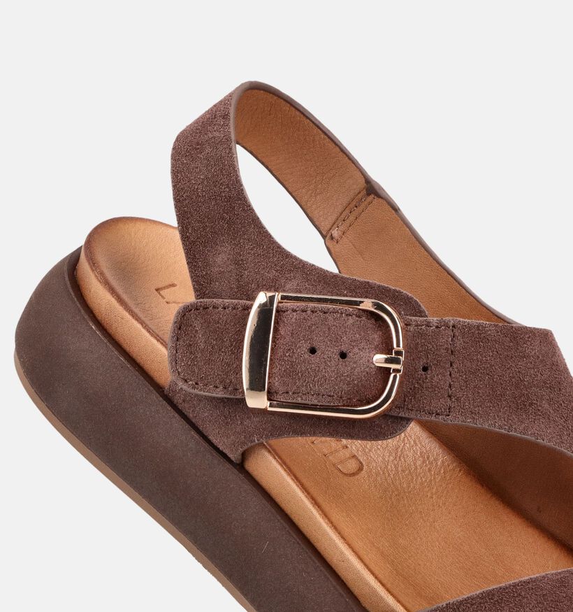 Laurent David Sandales en Marron pour femmes (373614)