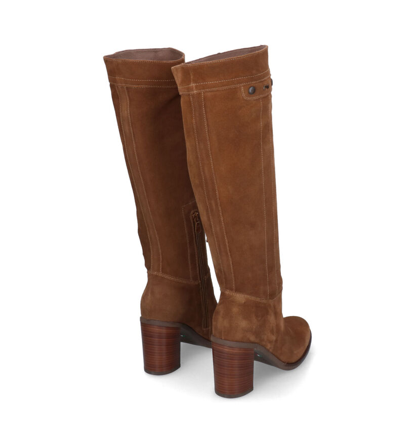 NeroGiardini Bottes hautes en Marron en daim (314606)