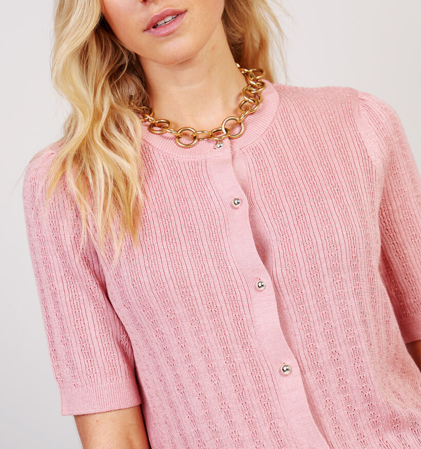 Vero Moda Newlex Roze Cardigan voor dames (364529)