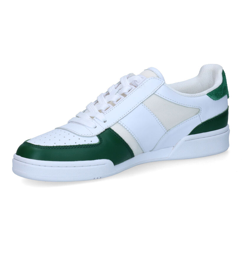 Polo Ralph Lauren Witte Sneakers in leer (303403)