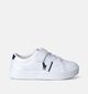 Polo Ralph Lauren Frazier Witte Lage schoenen voor jongens (353510)