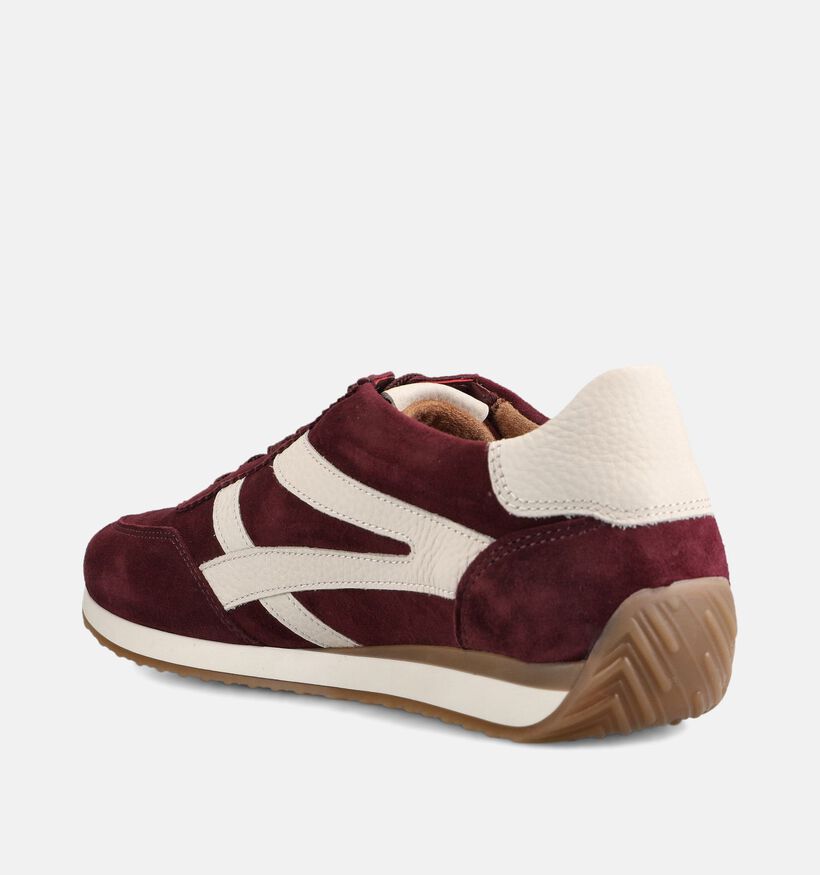 Gabor Bordeaux Sneakers voor dames (376996) - geschikt voor steunzolen