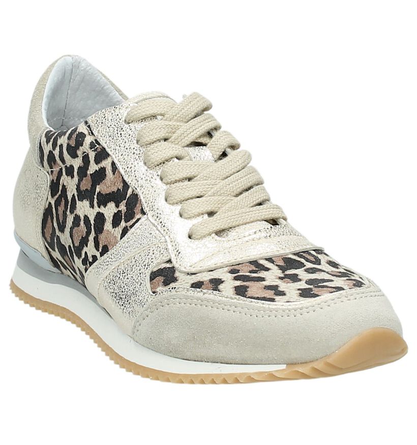 Sneaker Goud Hip met Luipaardprint, , pdp