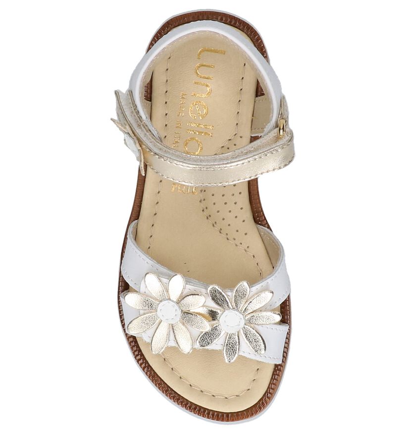 Lunella Sandales en Blanc en cuir (238977)