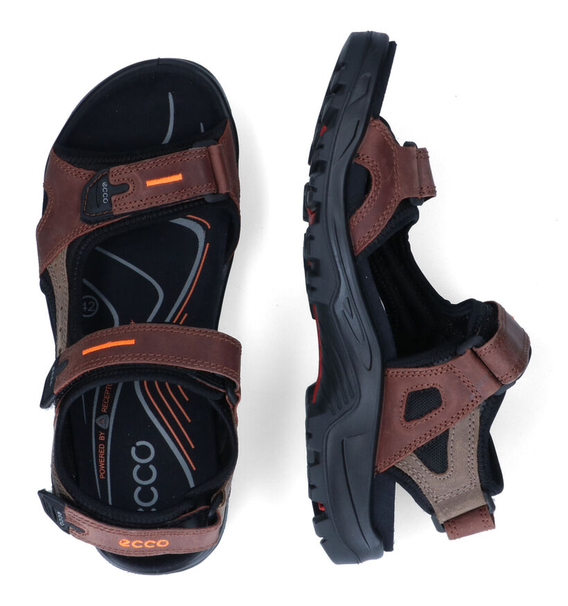 ECCO Yucatan Sandales en Taupe pour hommes (306675)