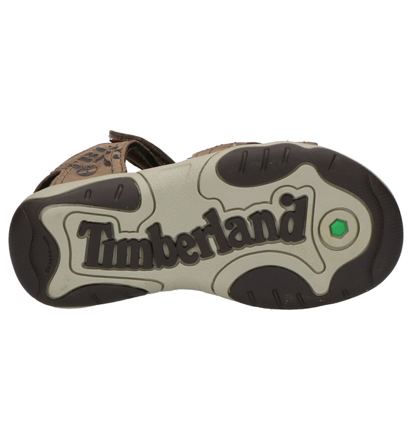 Timberland Oak Bluff Sandales en Bleu en cuir (267270)