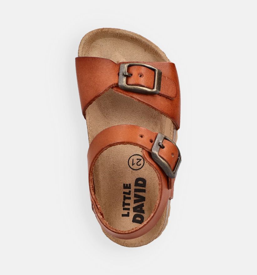 Little David Easy 4 Sandales en Cognac pour filles, gar&ccedil;ons (373110)