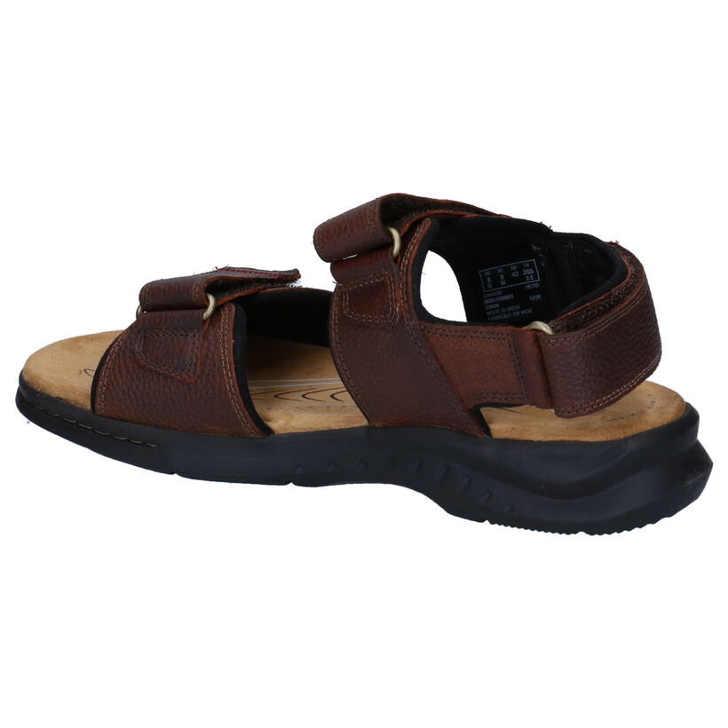 Clarks Hapsford Creek Bruine Sandalen in leer (304490)