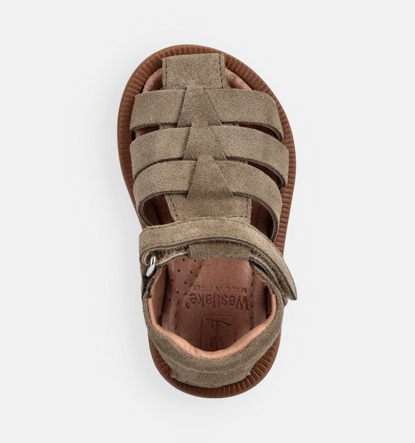 Westlake Sandales pour b&eacute;b&eacute; en Vert kaki pour filles, gar&ccedil;ons (373089)