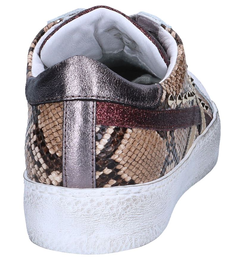 Clue Baskets habillées en Marron en cuir (262592)