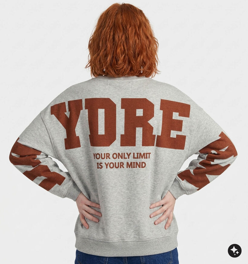 The Shirt Project Sweatshirts en Gris pour femmes (381883)