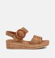 Gabor Bruine Sandalen op Sleehak voor dames (371184)