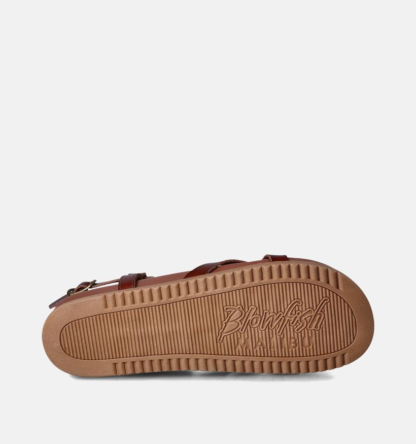 Blouwfish Malibu Camden Sandalen Cognac voor dames (355000)