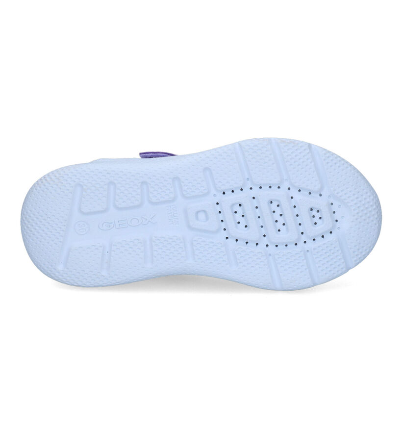 Geox Sprintye Baskets en Violet en synthétique (311010)